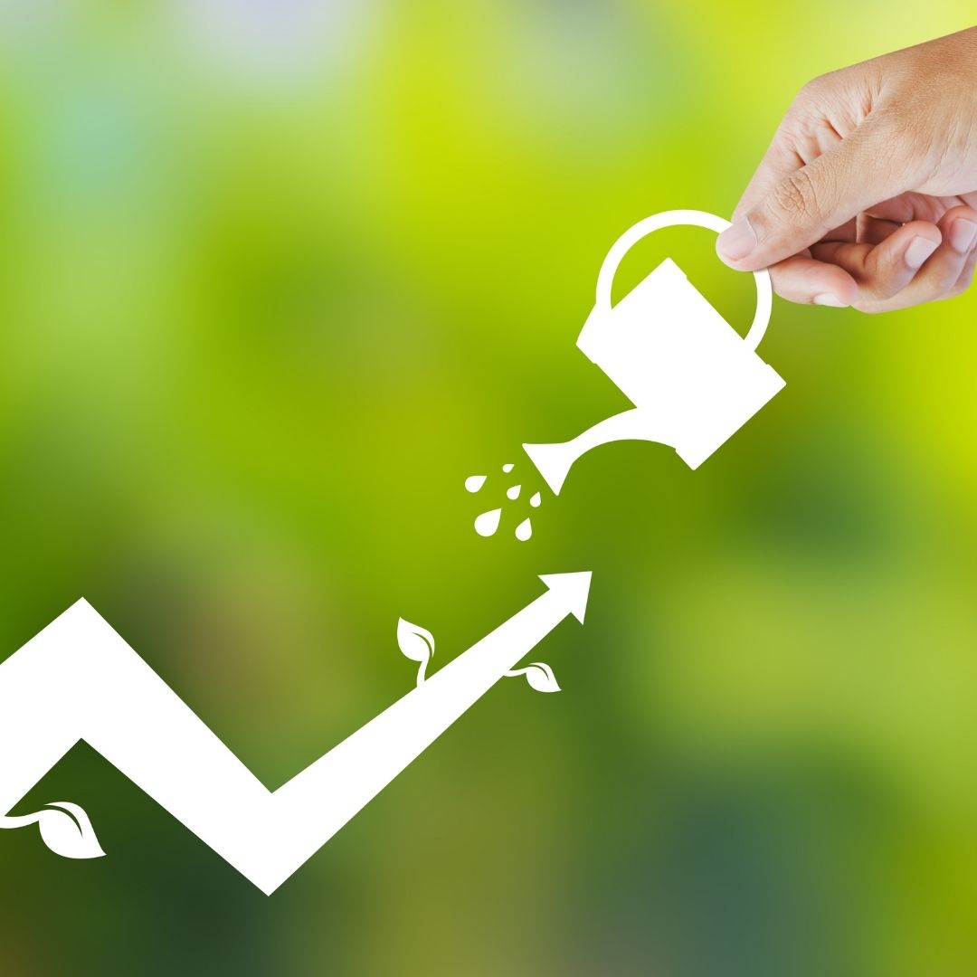 crecimiento de empresa