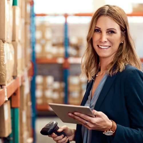 istema de control de stock