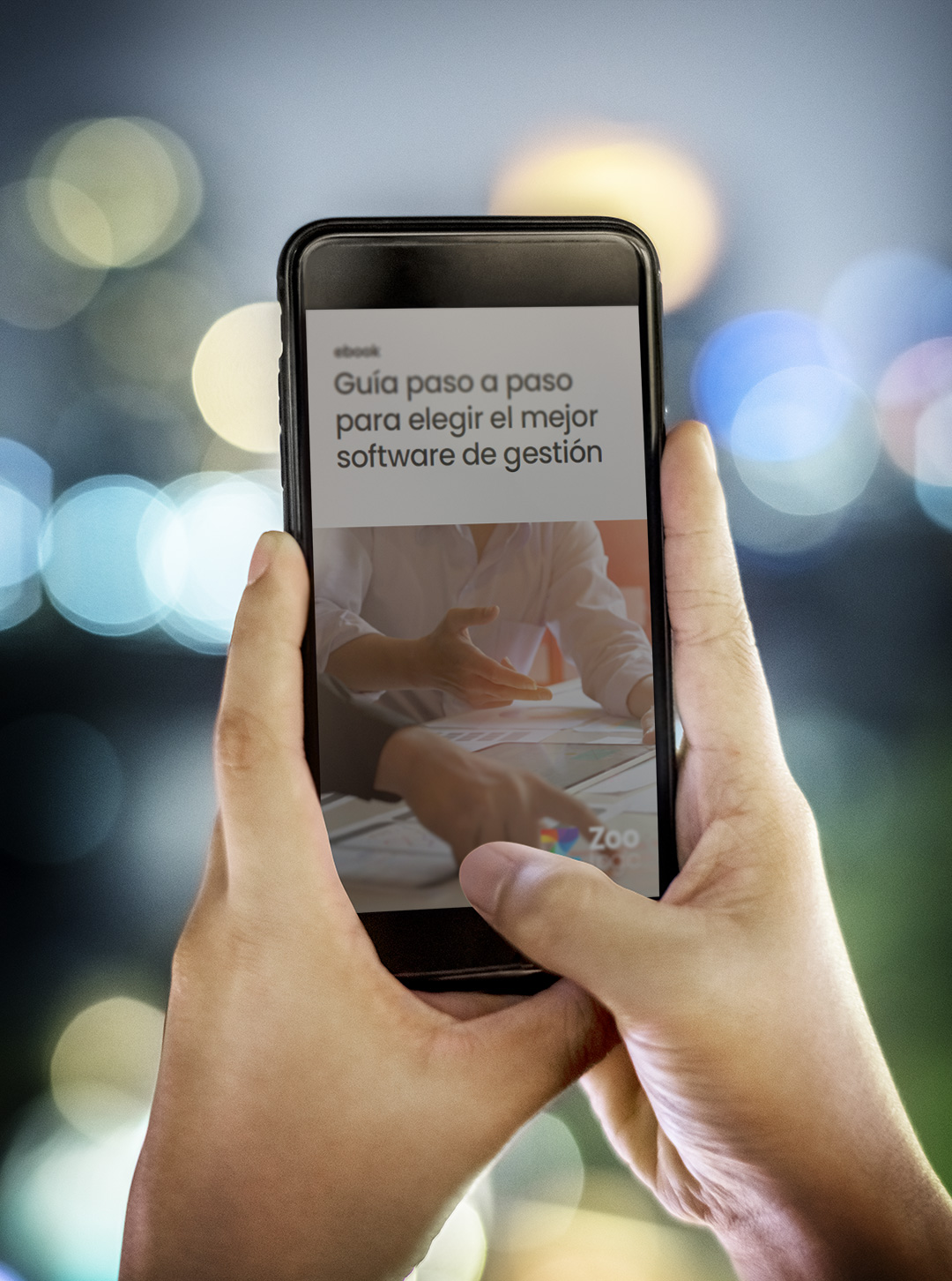 guía sistema de gestión