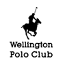 wellington polo club